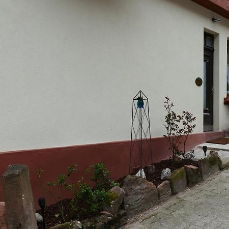 Le Gite Des Sources: Nature, Randonnees, Detente. Oberbronn Exterior photo