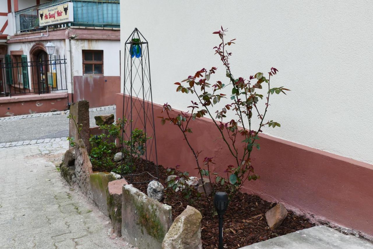 Le Gite Des Sources: Nature, Randonnees, Detente. Oberbronn Exterior photo